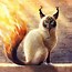 Image result for Cat in Space Wallpaper