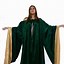Image result for King Robe Green and Gold