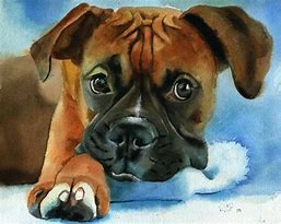 Image result for Boxer Dog Artwork