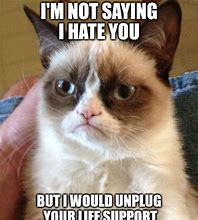 Image result for Grumpy Cat Phone Meme