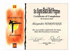 Image result for Six Sigma Black Belt Certificate