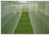 Image result for Cricket Ground Equipment