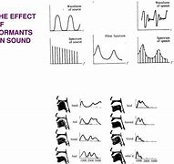 Image result for Formant