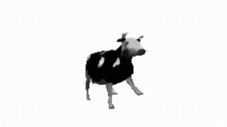Image result for Dancing Polish Cow Funny