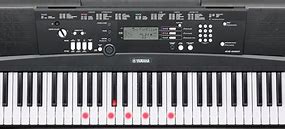 Image result for Best Lighted Piano Keyboard