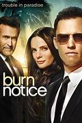Image result for Burn Notice TV Show Hulu