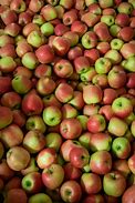 Image result for Red Green Apple's