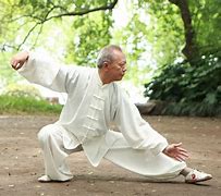 Image result for Classic Tai Chi