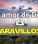 Image result for Amor De Dios