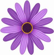 Image result for Purple Daisy Flower Clip Art