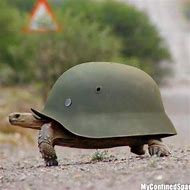 Image result for War Turtle