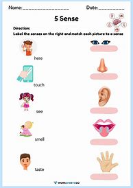 Image result for The 5 Senses Worksheets