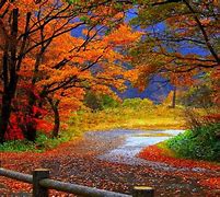 Image result for Fall Pics Wallpaper