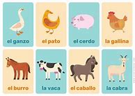 Image result for Spanish Activities for Kids with Flash Cards