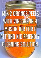 Image result for Dog Safety%2C Household Products