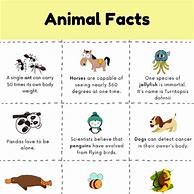 Image result for Printable List of Facts