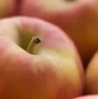 Image result for What Does a Pink Apple Look Like