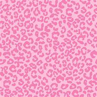 Image result for Pink Cheetah Print Cubby Box