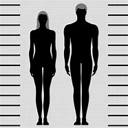 Image result for 161 Cm Human Height