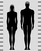 Image result for How Tall Is 170 Cm in Feet