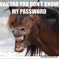 Image result for Funny Horse PFP