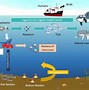 Image result for Plastic Pollution in the Ocean HD Photos for Raport