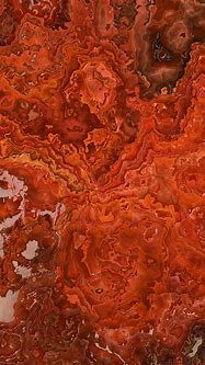 Image result for Burnt Orange iPhone Wallpaper