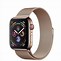 Image result for Apple Watch Strap with Magnet Therapy