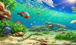 Image result for Sea Underwater World