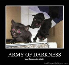Image result for Darkness Cat Meme
