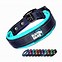 Image result for dogs collar
