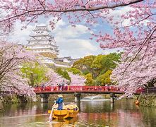 Image result for Japan Beautiful Nature Places