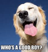 Image result for Good Boy Meme