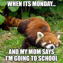 Image result for Funny Monday School Memes