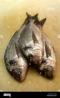 Image result for Fishmongers