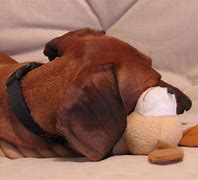 Image result for Squeaky Toys