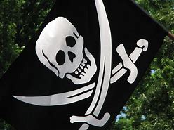 Image result for Skull and Crossbones Pirate Flag
