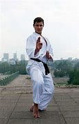 Image result for Karate Poses with White Background