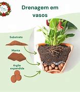 Image result for drenar