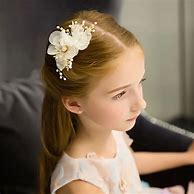 Image result for Flower Girl Hair Accessory