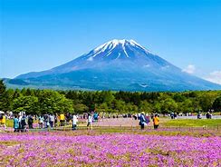 Image result for Tokyo Mount Fuji