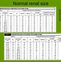 Image result for Size Chart for Kidney Stones