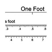 Image result for 1 Foot Scale