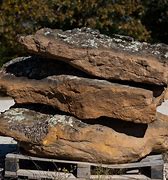 Image result for Moss Rock Boulders