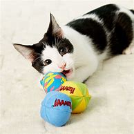 Image result for Yeowww Catnip Toys