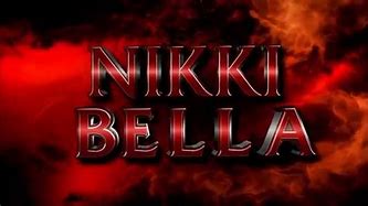 Image result for Nikki Bella Fearless Logo