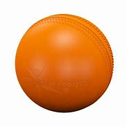 Image result for SwingBall Cricket