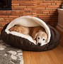 Image result for Dog Beds Toy