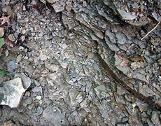 Image result for Shale Grey Wall Texture