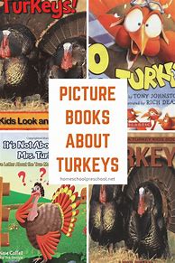 Image result for Turkey Guide Book